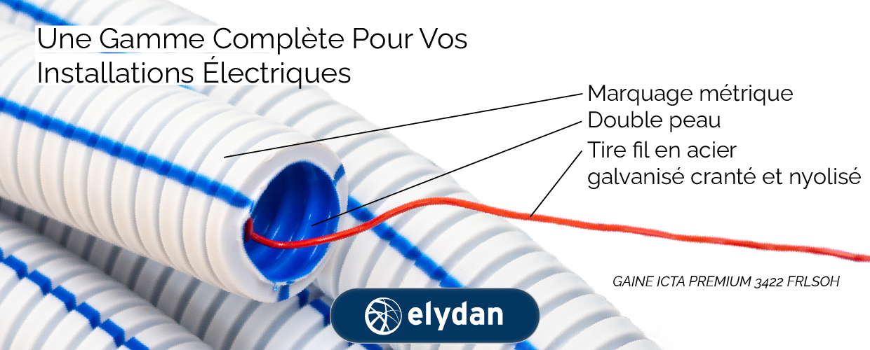 ELYDAN Plan de travail 1